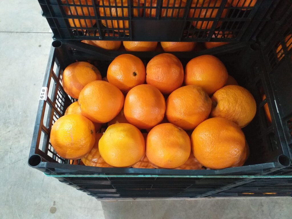 Naranjas