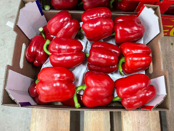 Pimiento rojo